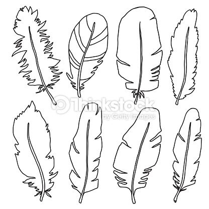 416x416 8 Best Feather Contours Images On Feathers, Clipart