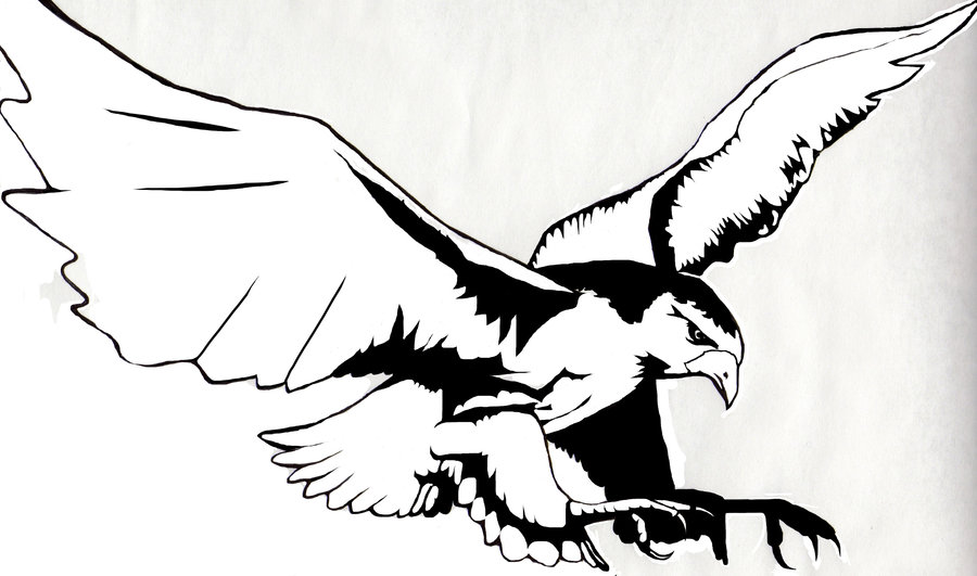 900x531 Flying Japanese Hawk Tattoo Design