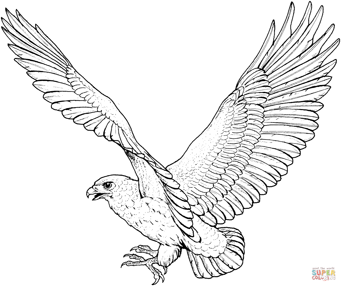 1389x1164 Red Tailed Hawk Clipart Flight Drawing