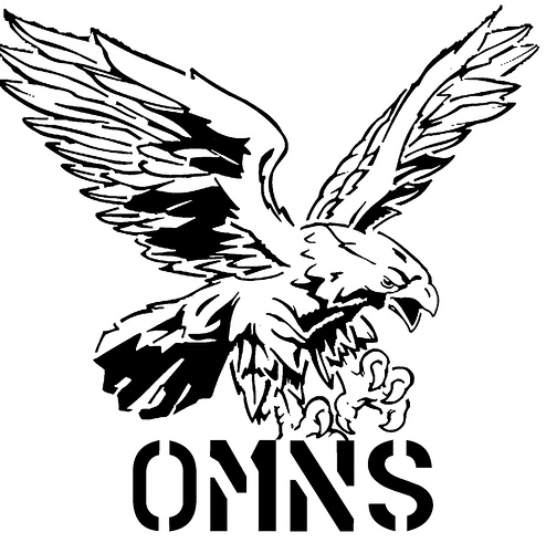 494x500 Hawk Stencils Images