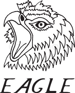 258x320 Hand Draw Hawk Head In The Style Of The Sketch, On Black And White