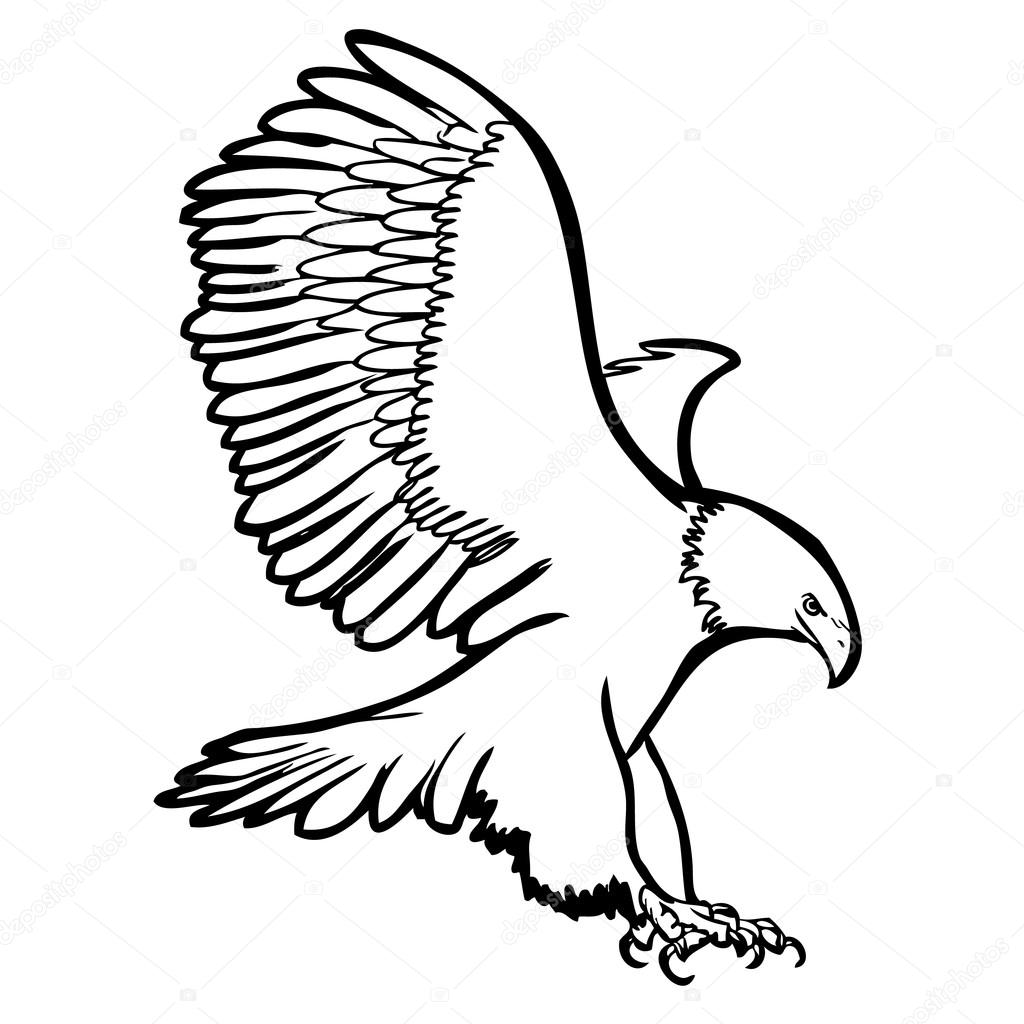1024x1024 Freehand Sketch Illustration Of Eagle, Hawk Bird Stock Vector