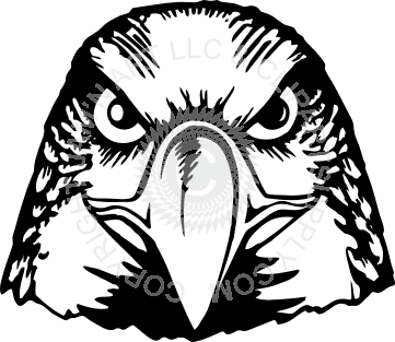 361x313 Hawk Head Front View