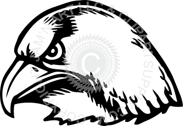 361x248 Hawk Head Side View