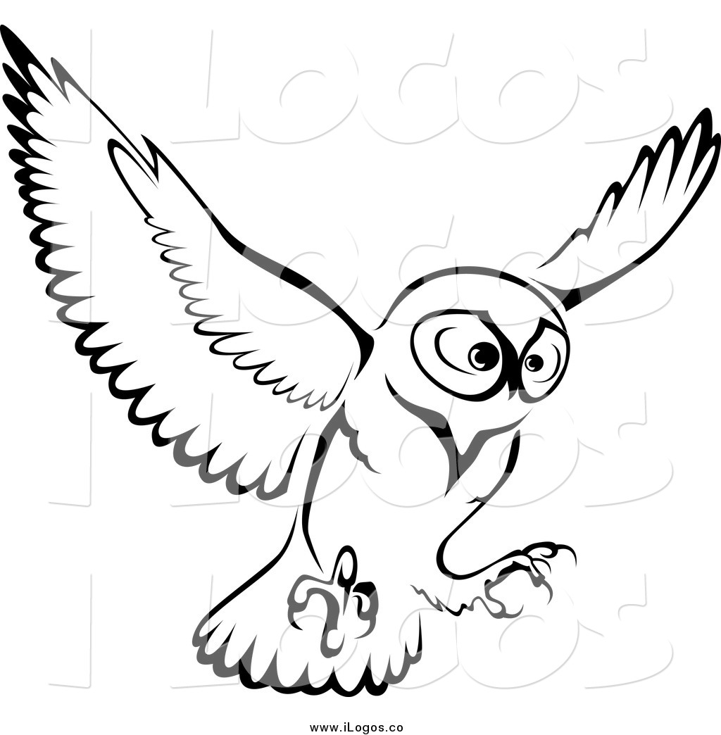 1024x1044 Brown Hawk Owl Clipart Flight Drawing
