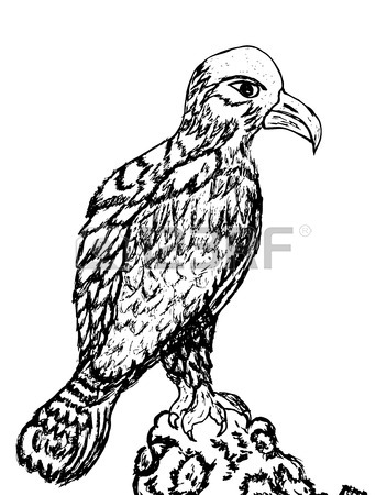 352x450 Vector Sketch Of Eagle. Hand Draw Illustration. Royalty Free
