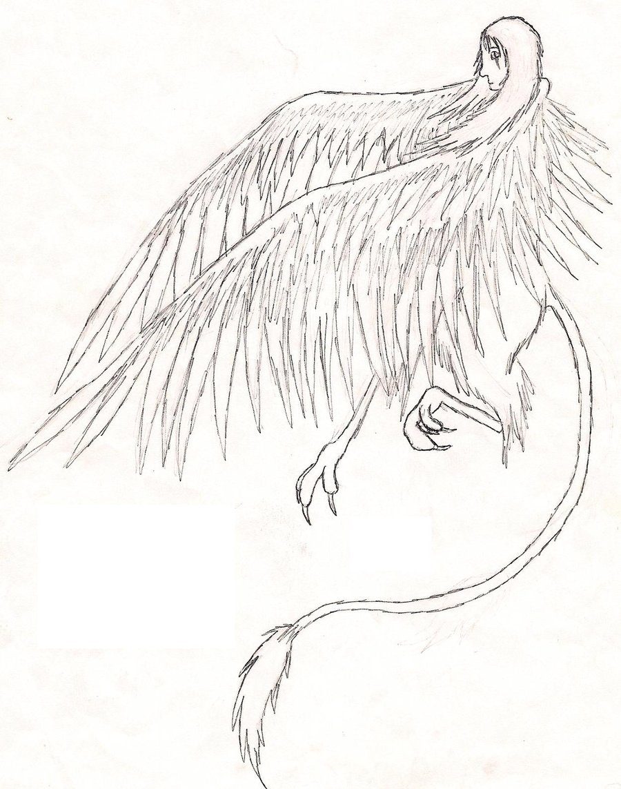 900x1143 Harpy By Wing Dancer