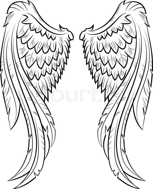 646x800 Wings Stock Vector Colourbox