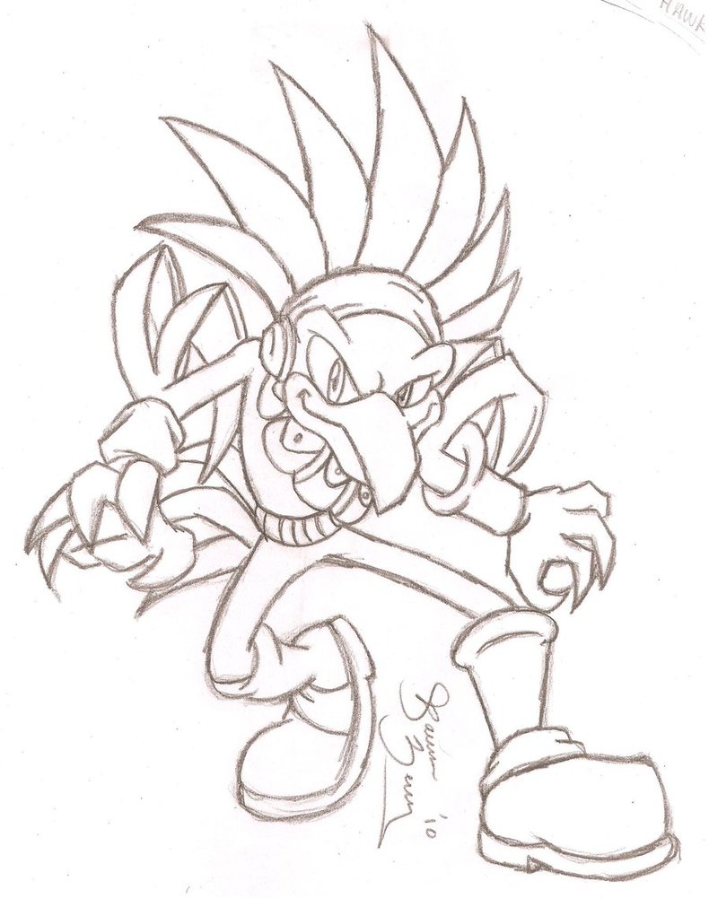 790x1011 Predator Hawk By Sasscannon