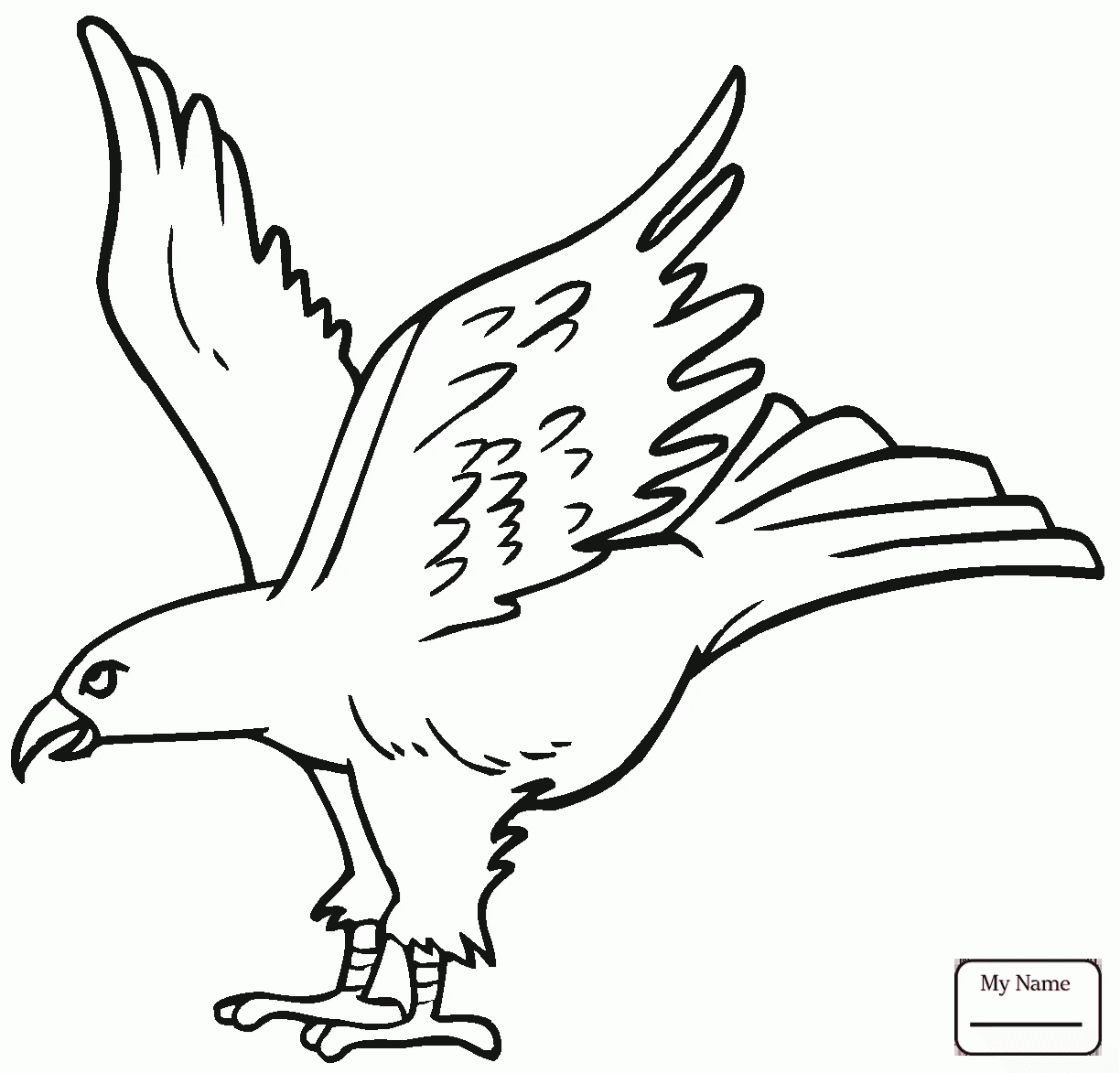 1224x1173 Birds Funny Hawk Coloring Pages For Kids Azcoloring.club