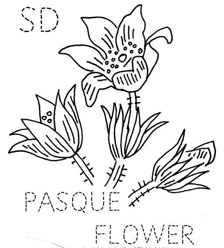 450x500 South Dakota Pasque Flower South Dakota, Flower And Embroidery