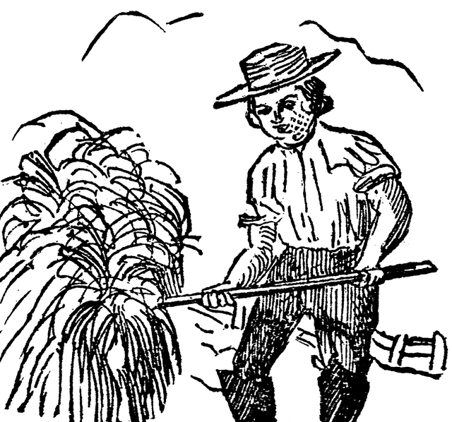 640x598 Hay Clipart Etc