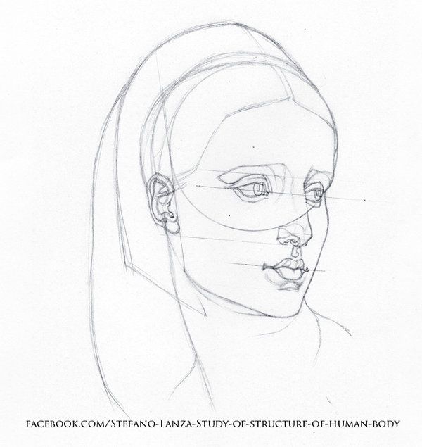 600x635 Pin By David Lynes On Drawing