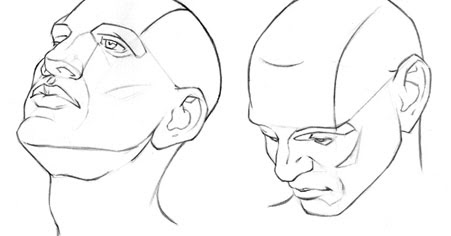 451x236 Learning To Draw Human Head