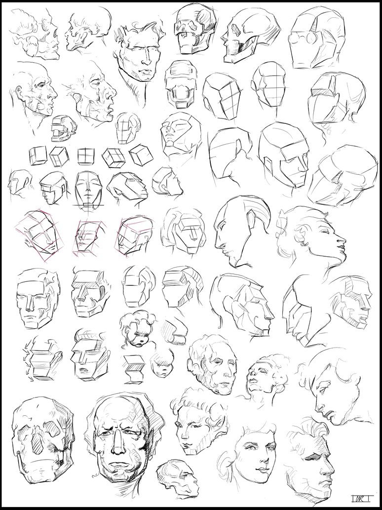 774x1033 Head Construction By Kaisercvr