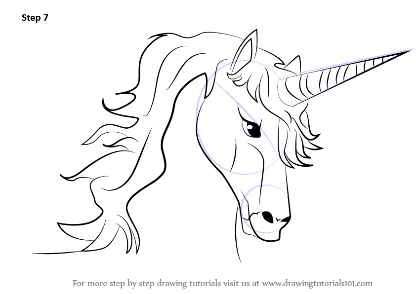 842x596 Learn How To Draw Unicorn Head (Unicorns) Step By Step Drawing