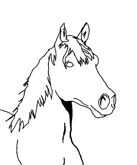 480x579 Horse Head Sketch By Lolaflyingpig