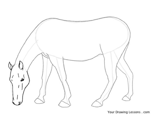 600x455 How To Draw A Horse Part 2 Your Drawing Lessons