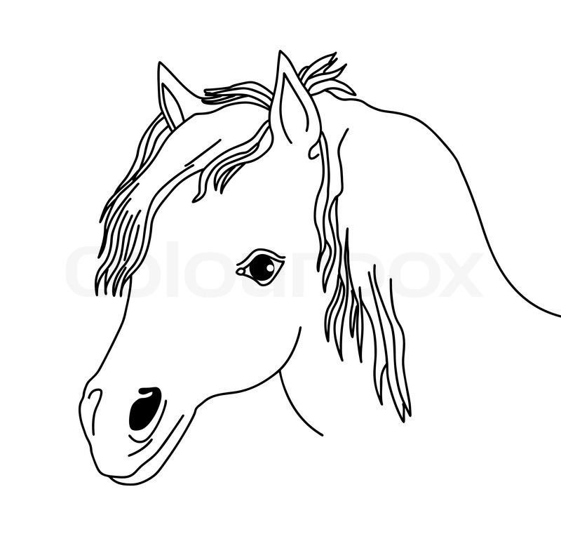 800x771 Vector Silhouette Of The Head Horse On White Background Stock