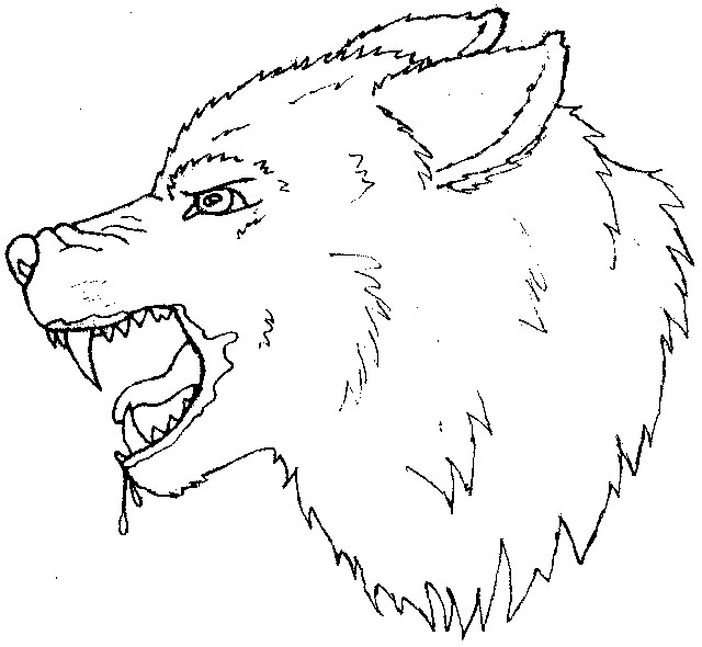 640x590 Wolf Head Outline By Peterpandagirl
