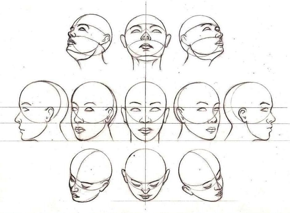 941x691 Head Positions