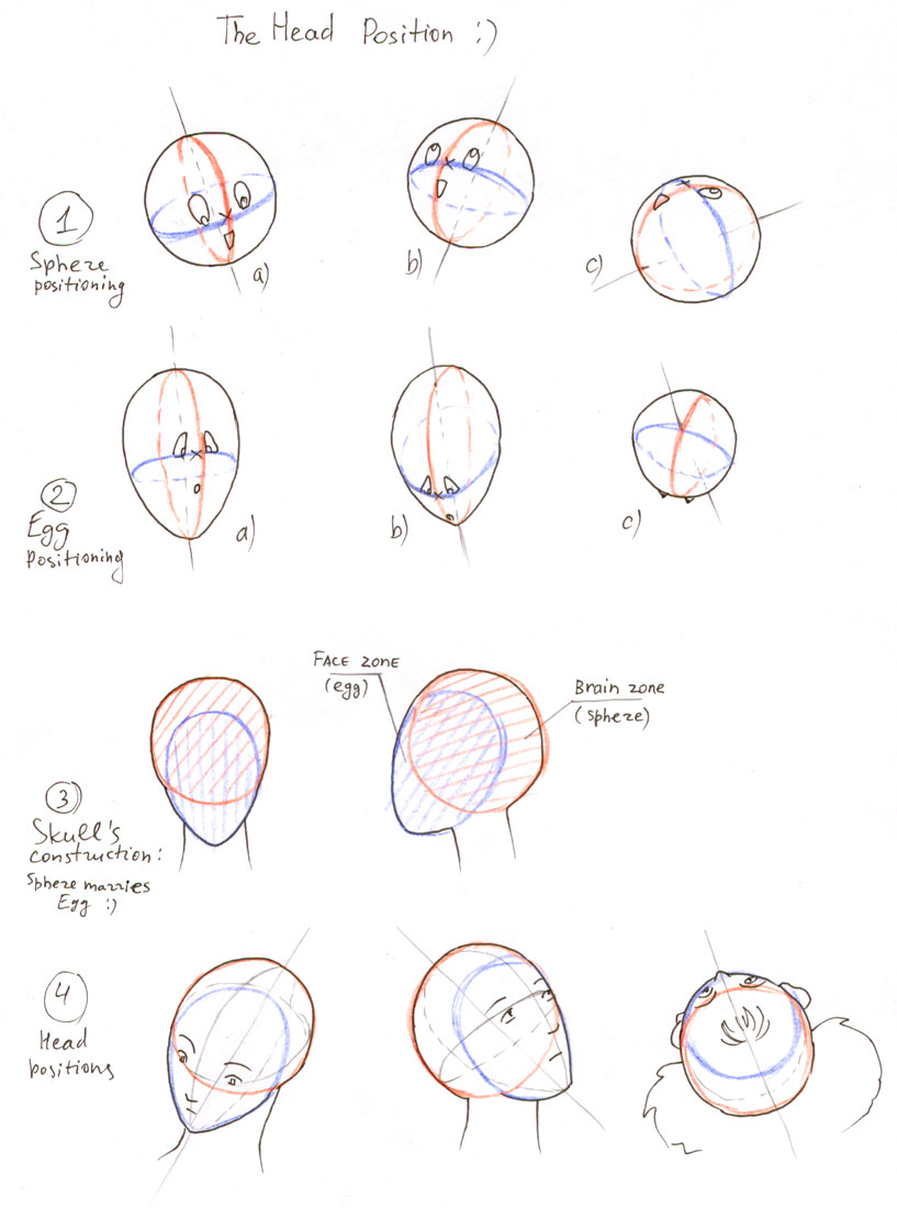 817x1100 How To Draw Head By On @
