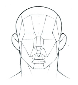 250x273 Portrait Fundamentals Made Simple My Drawing Tutorials