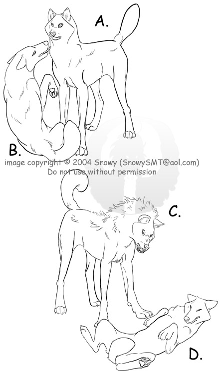 447x750 Wolf Positions By Snowysmt