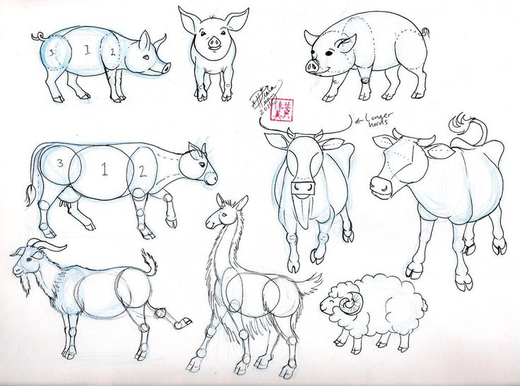 736x547 Drawn Tigres Face