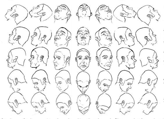 Head Reference Drawing at GetDrawings | Free download