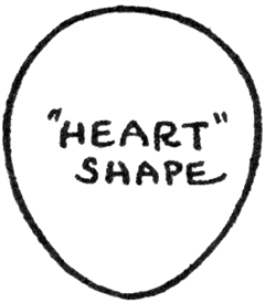 240x274 How To Draw Cartoon Faces And Heads With Different Shaped Heads