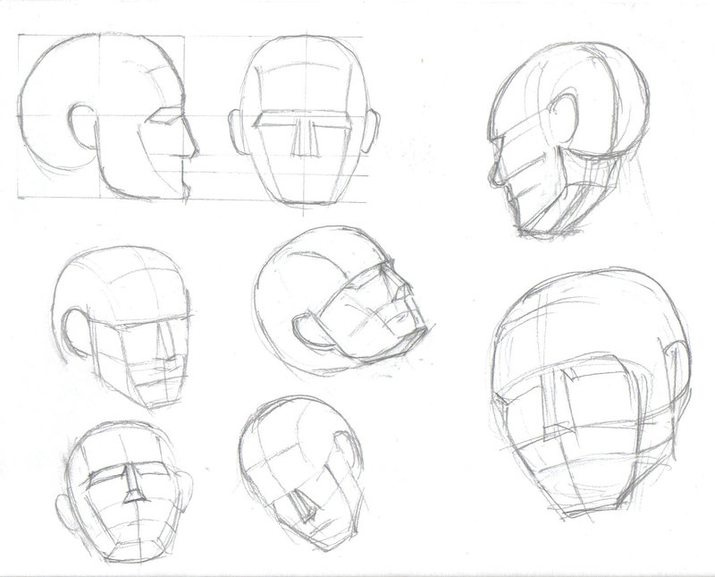800x645 Basic Head Shape By Mmawolf