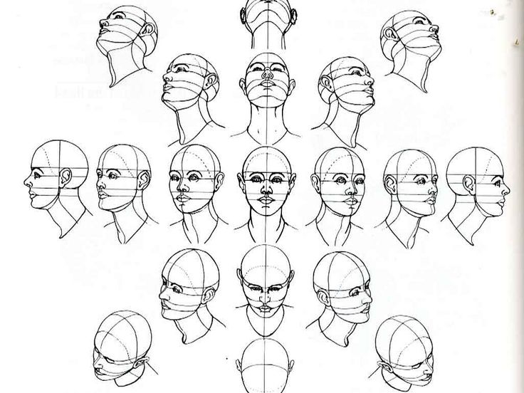 736x552 How To Draw Human Heads