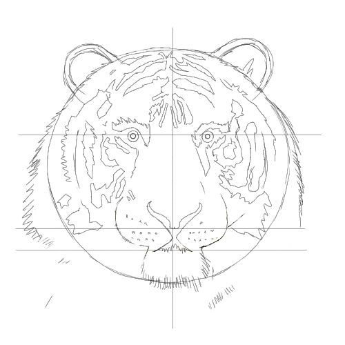 500x500 Tiger Drawing Free Drawing Lessons.