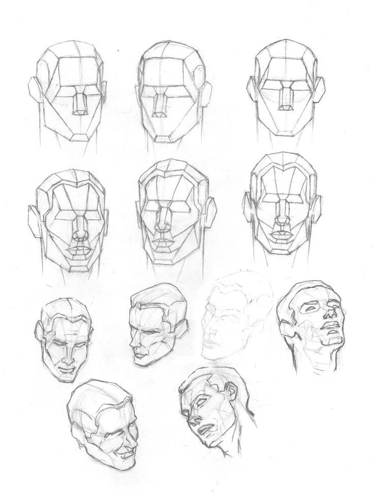 Head Structure Drawing at GetDrawings | Free download