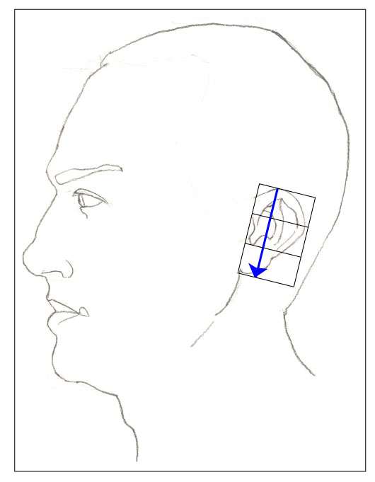 530x681 Paint Draw Paint, Learn To Draw Drawing Basics Structure