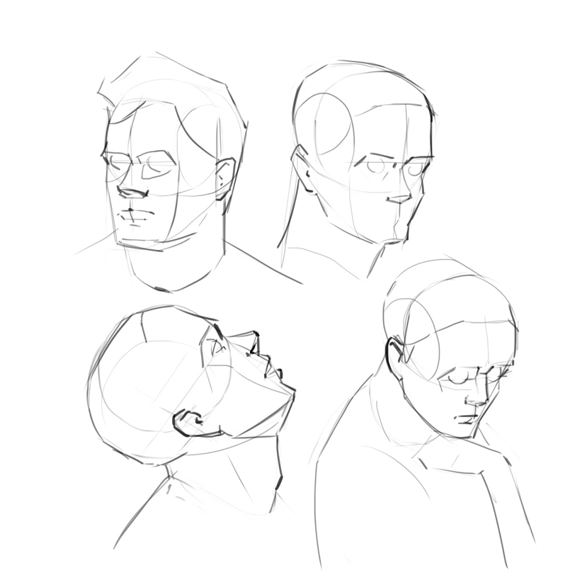 829x829 Head Structure And Face Planes By Chuchuan