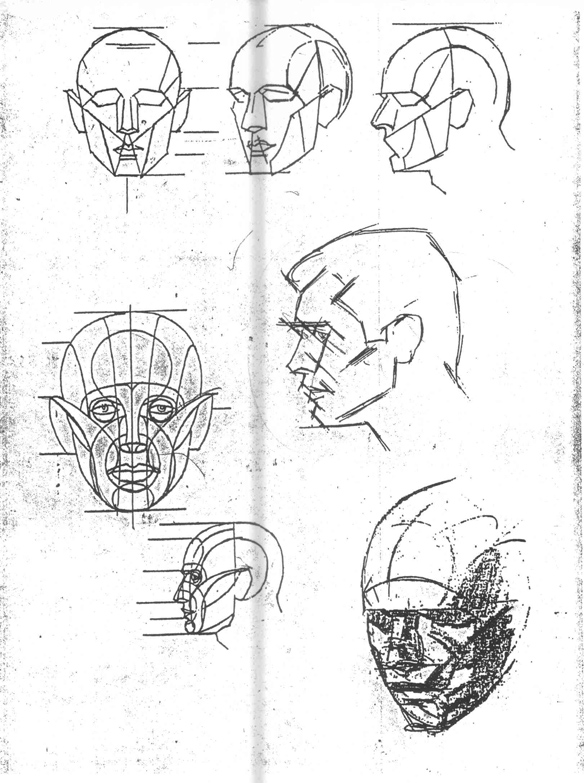 Head Structure Drawing at GetDrawings | Free download