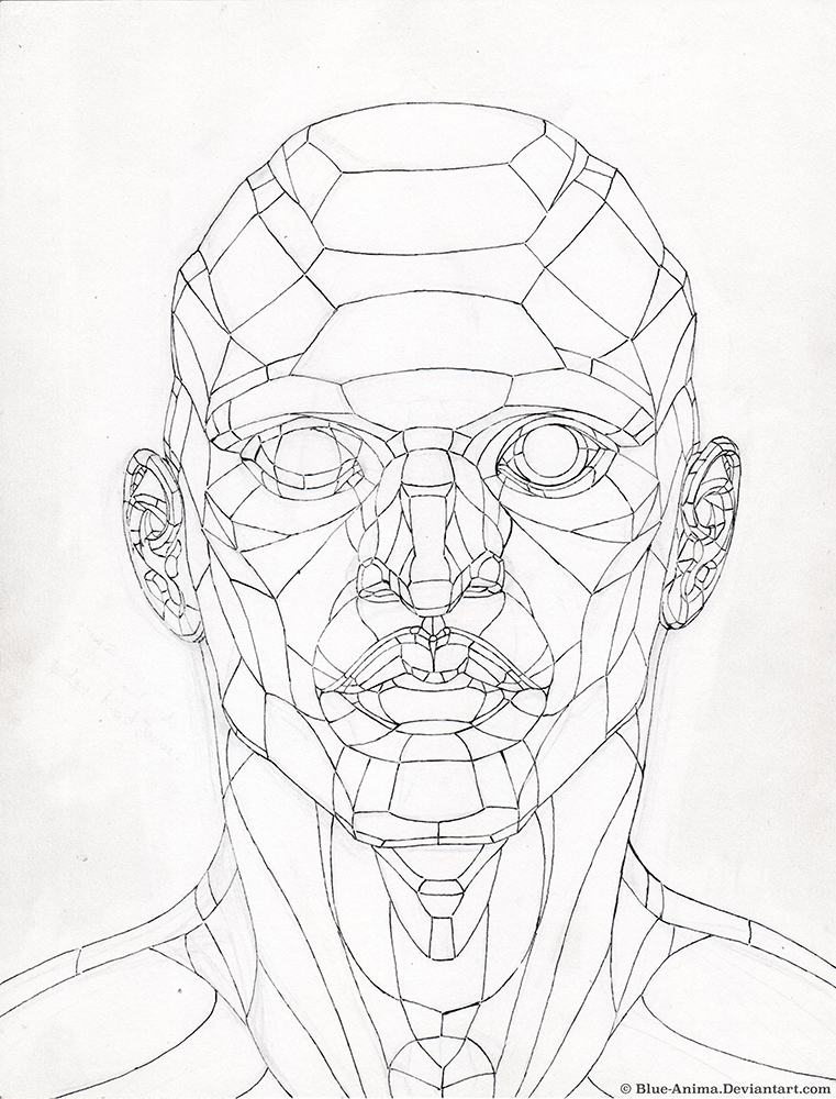 761x1000 Planes Of The Head Study By Blue Anima
