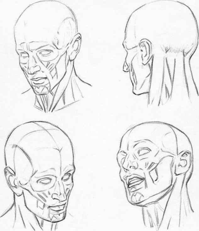 633x734 Head Drawing Study Charcoal Drawings