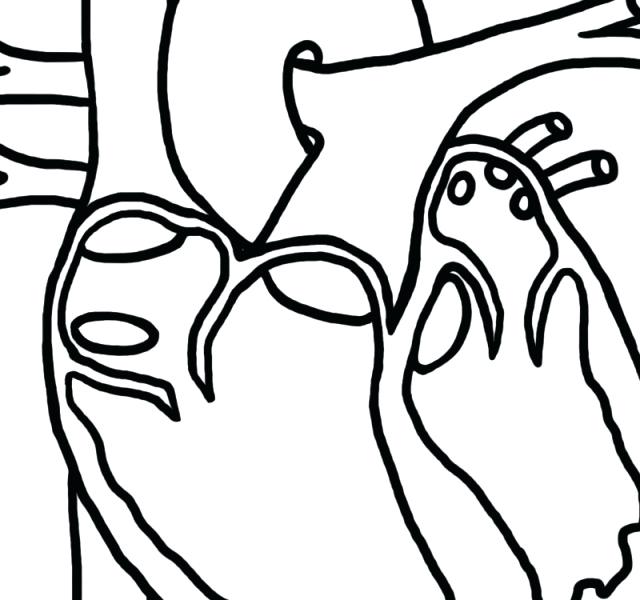 640x600 Elegant Human Coloring Pages Kids Face Page Drawing And Picture