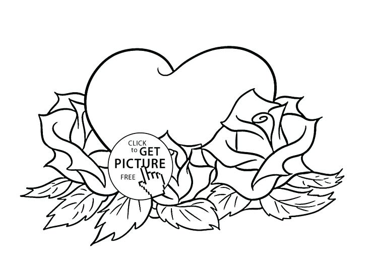 736x542 Coloring Pages Rose Coloring Page With Roses And Leaves Coloring