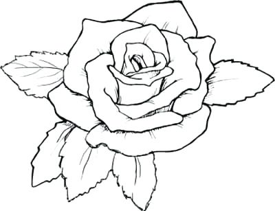 400x307 Coloring Pages Roses And Hearts Rose Coloring Page Valentine Roses