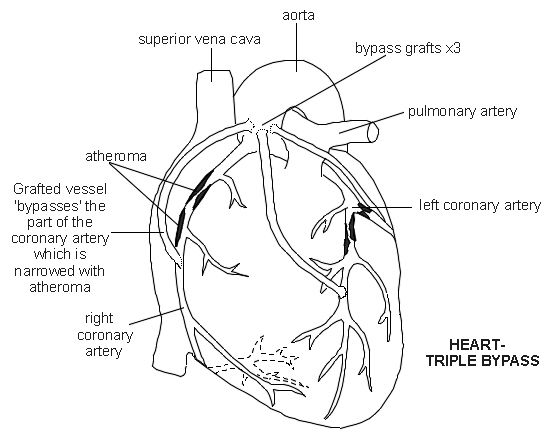 560x435 Diagram Image Inspirations Architecture Diagrams On Diagram Image