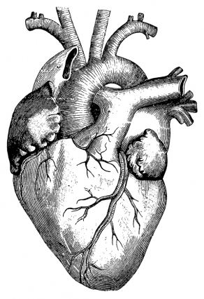 Heart Disease Drawing at GetDrawings | Free download