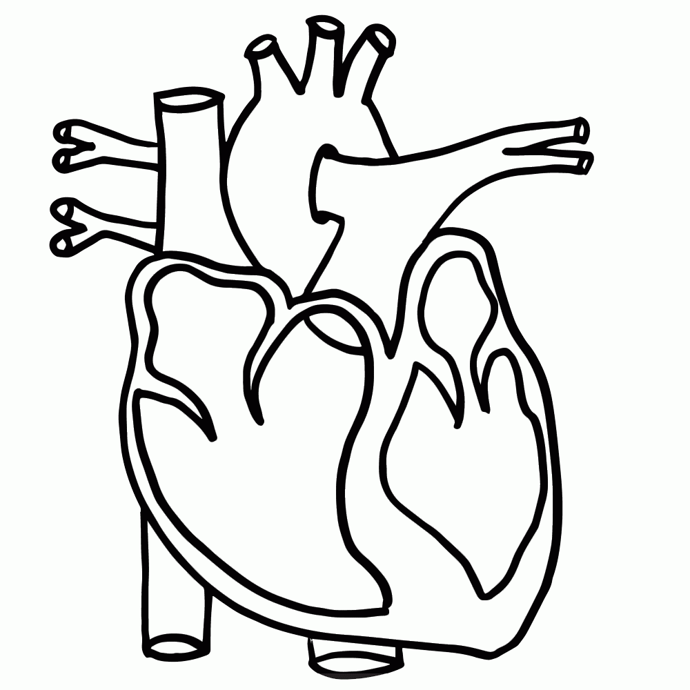 1000x1000 Human Heart Clipart Black And White Letters
