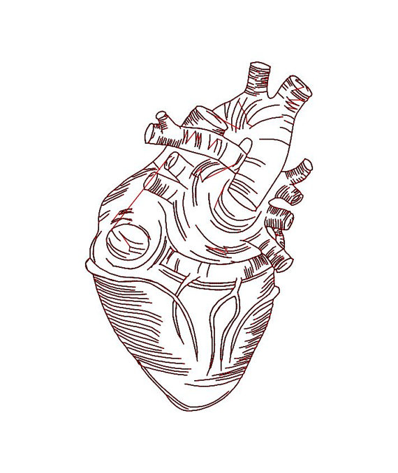 570x678 Anatomical Heart Embroidery