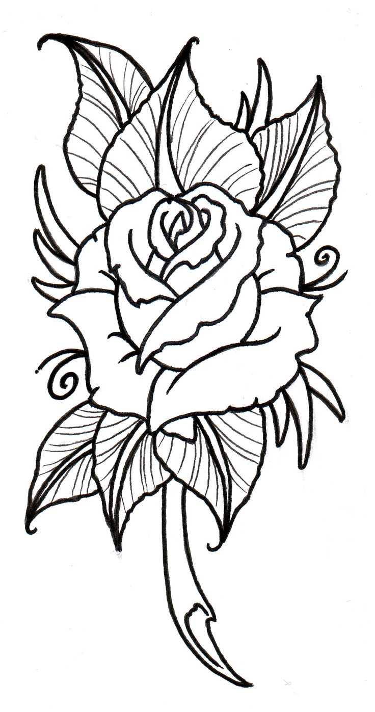 736x1397 Tattoo Design Drawings Heart Designs To Rose Drawing Outline