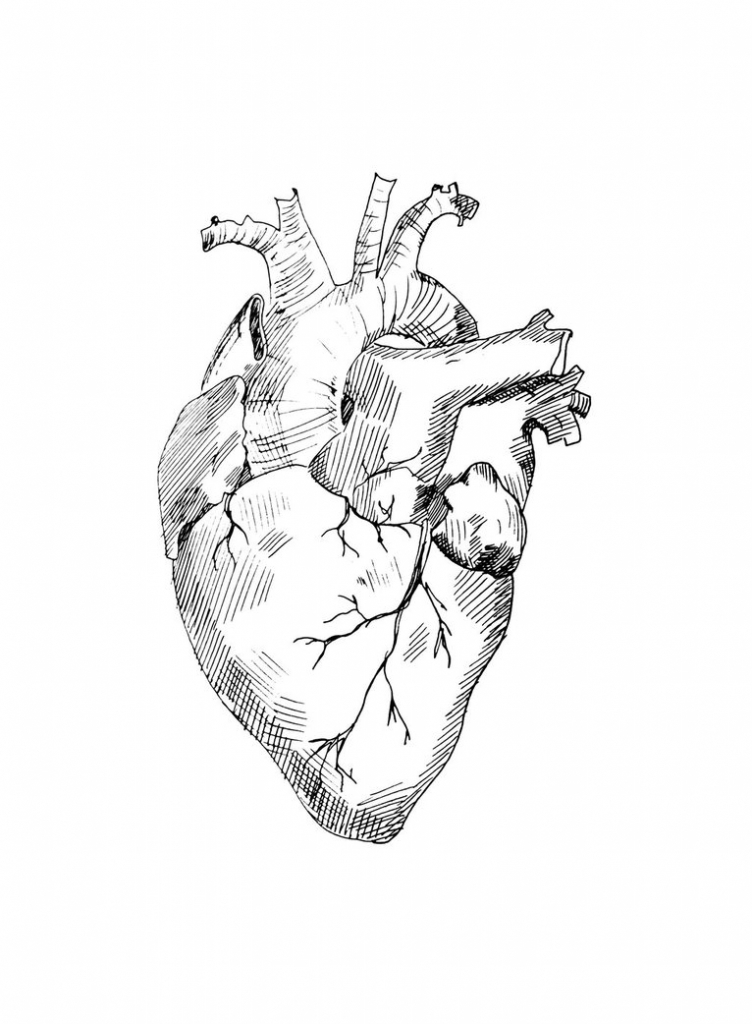 Heart Drawing Images