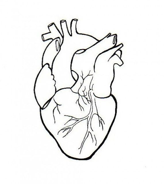 Heart Drawing Pictures